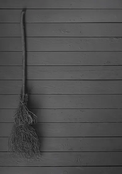 Broom Witch 11.JPG
